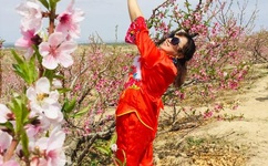 西游之问道诸天